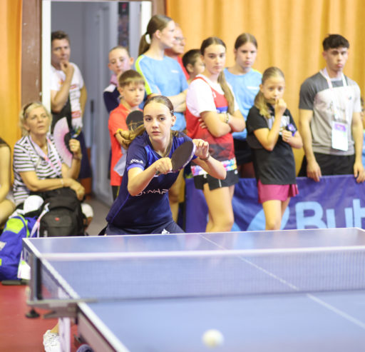 Stolni tenis – Međunarodna završnica